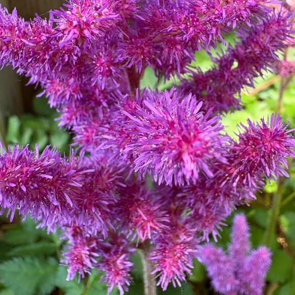 Authentic High Quality Designer Jewelry - Picture 1 of 2